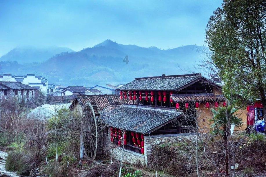 逃离废弃自然公园